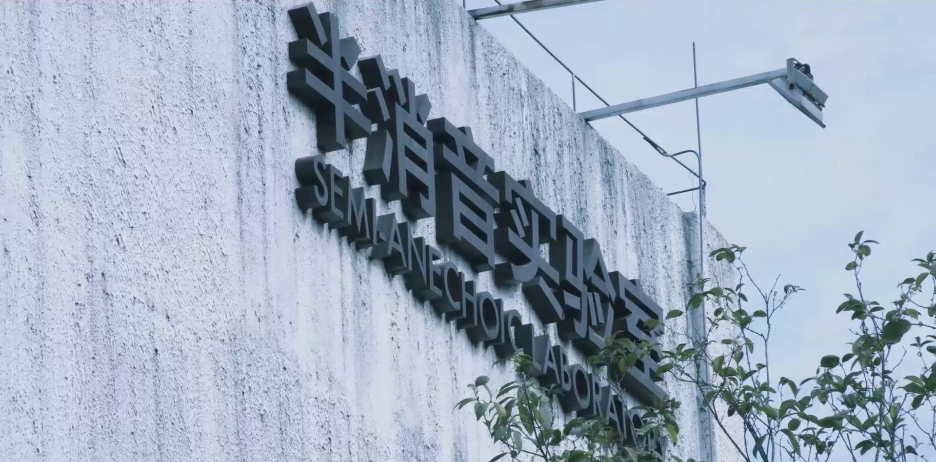 1660289294104768.jpg 1660289294104768.jpg