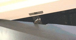 1660293679724569.gif 0.gif